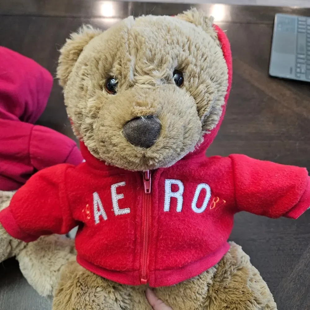 Aeropostale Collectible Teddy Bears Lot‎ of 2 Red Hoodie Plush Y2K NEW Holiday